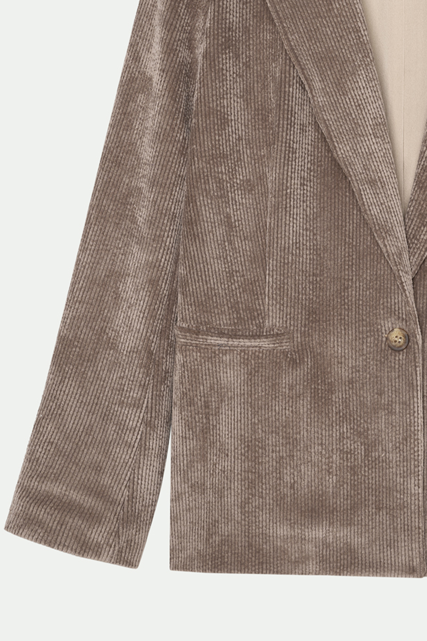 BLAZER VELOURS BETH TAUPE